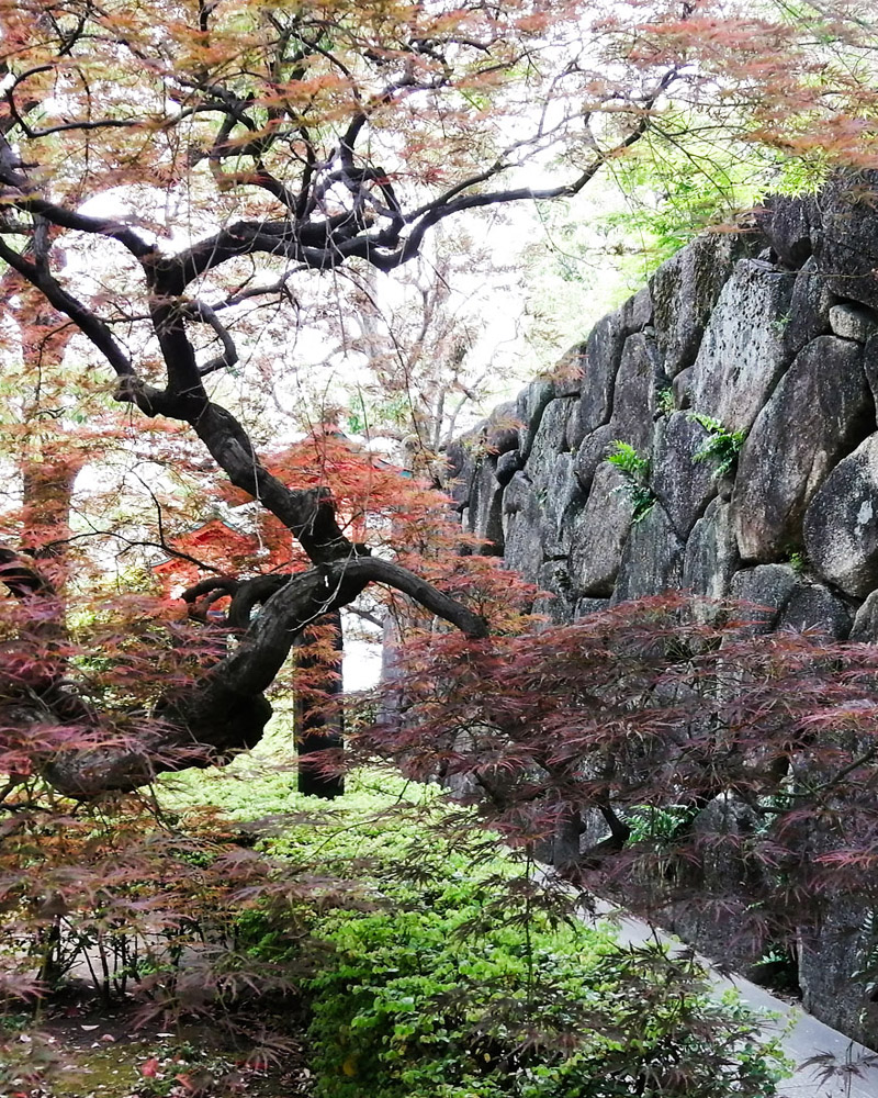  石垣 穴八幡宮